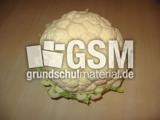 Blumenkohl.JPG